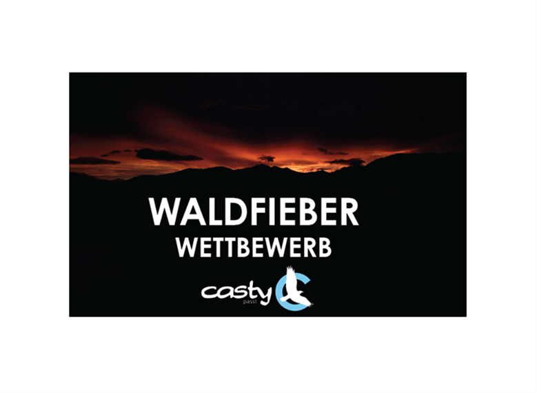 Waldfieber Wettbewer