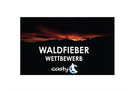 Waldfieber Wettbewer